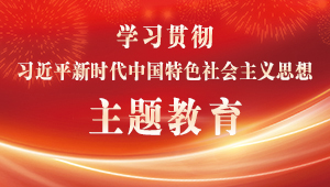 学习贯彻习近平新时代中国特色社会主义思想主题教育